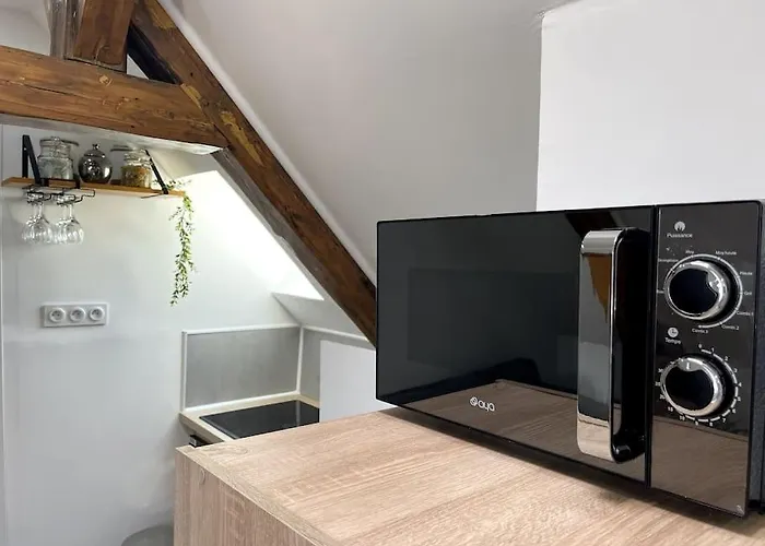 Apartmán La Massyl - Hypercentre & Proche